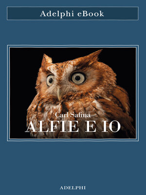 cover image of Alfie e io